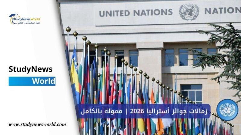 برنامج الأمم المتحدة التطوعي الممول بالكامل لعام 2026 StudyNewsWorld | أخبار الدراسة حول العالم