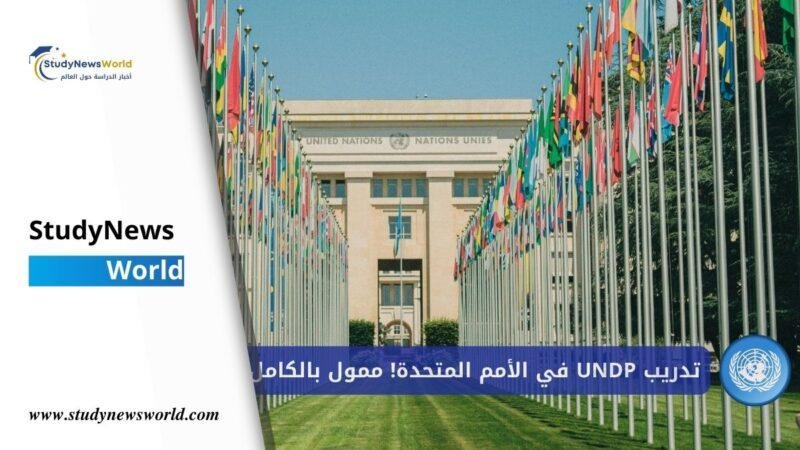 تدريب UNDP 2026 – فرص مدفوعة للطلاب والدوليين في الأمم المتحدة! 🇺🇳 StudyNewsWorld | أخبار الدراسة حول العالم